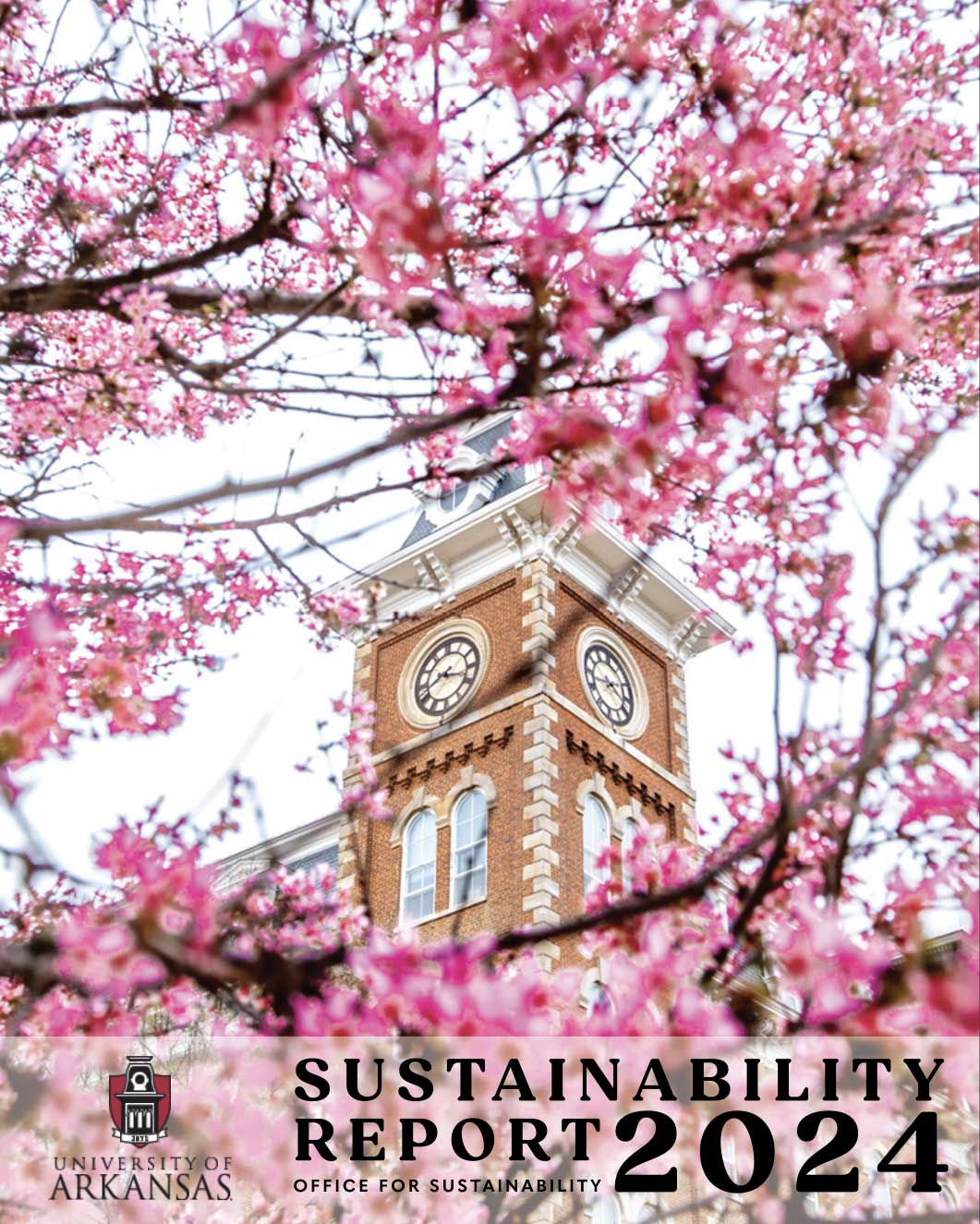 2024 Annual Report
