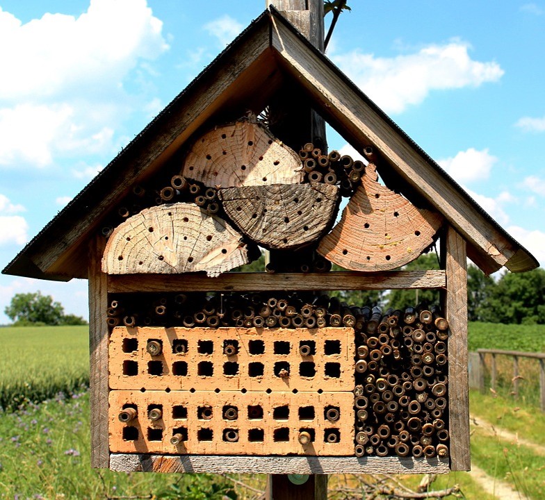 bee hotels