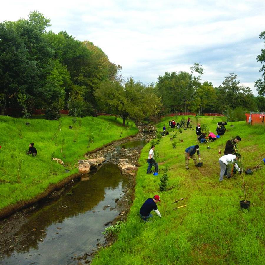 Mullins Creek volunteers