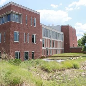 rain garden